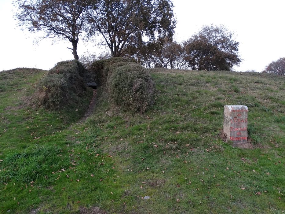 Tumulus à menhir du Moustoir-Carnac : Vue partielle du site