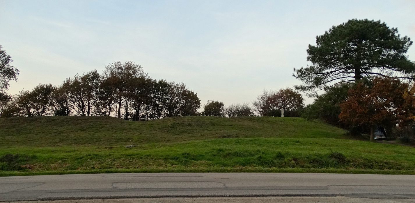 Tumulus à menhir du Moustoir-Carnac : Vue générale du site