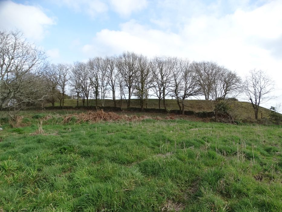 Tumulus à menhir du Moustoir-Carnac : Vue générale du site