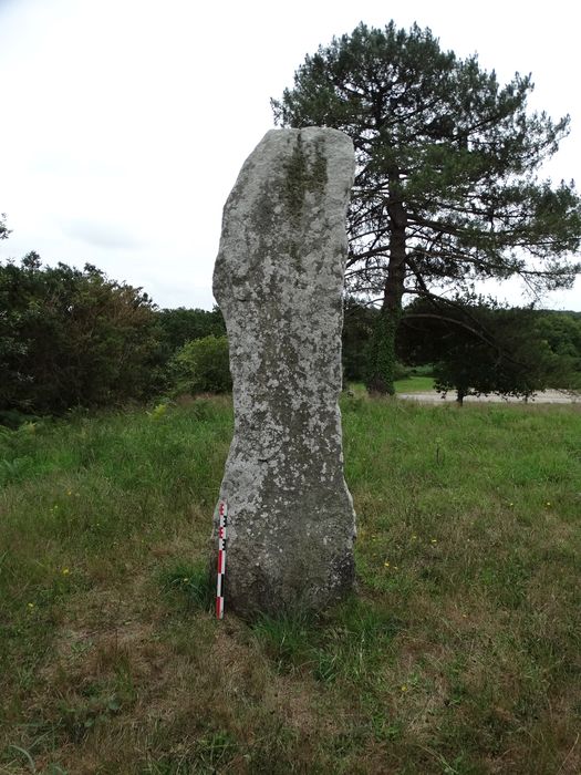 Menhir du Moustoir (Parc-et-Mané) : Vue générale