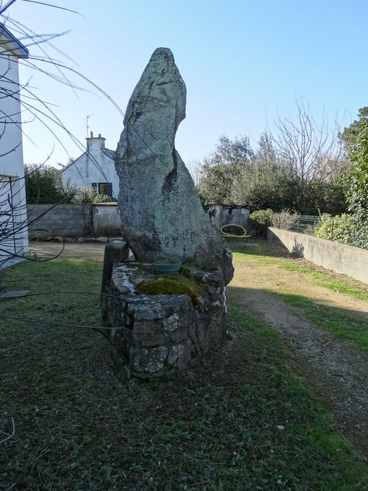 Menhir du bourg de Carnac : Vue générale