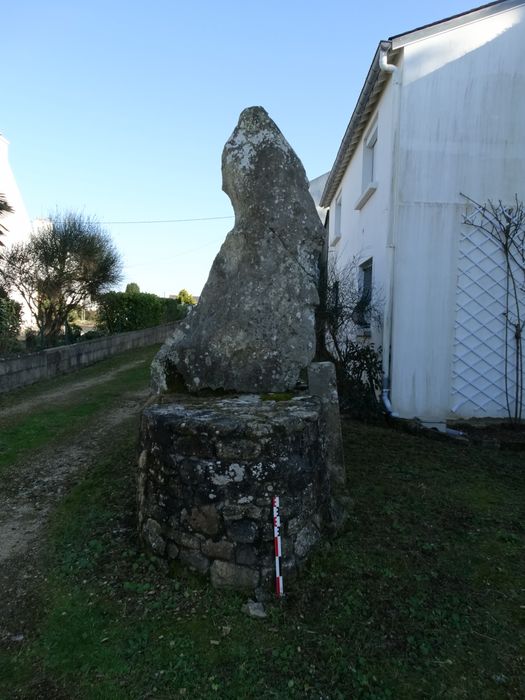 Menhir du bourg de Carnac : Vue générale