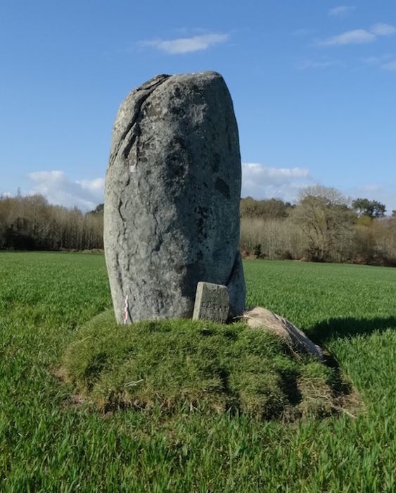 Menhir de Kerlagade : Vue générale