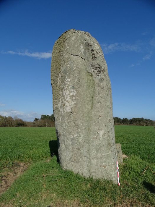 Menhir de Kerlagade : Vue générale