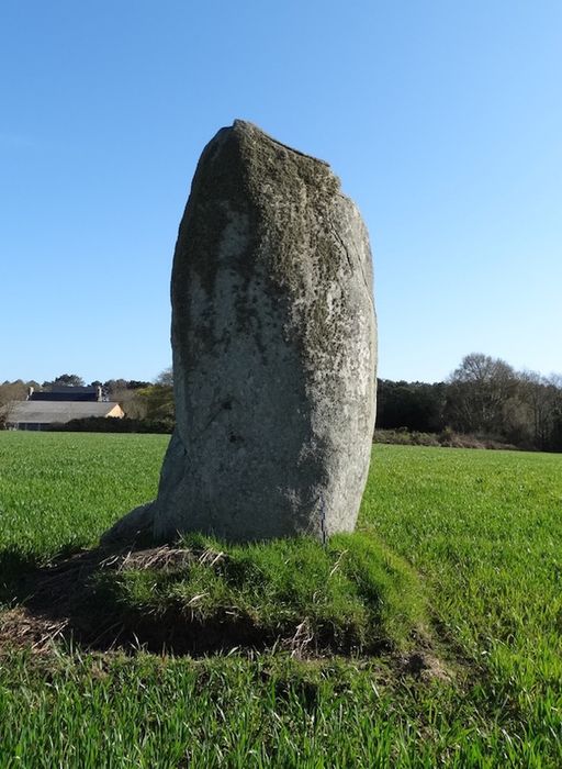 Menhir de Kerlagade : Vue générale