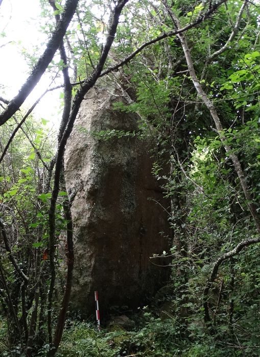 Menhir : Vue générale