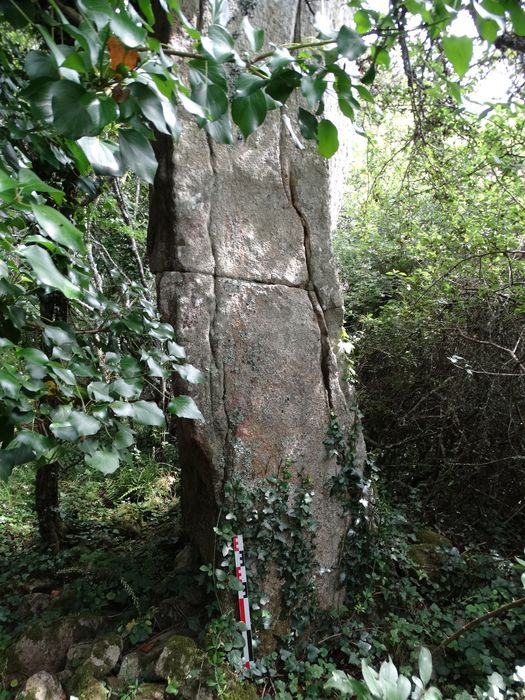 Menhir : Vue générale