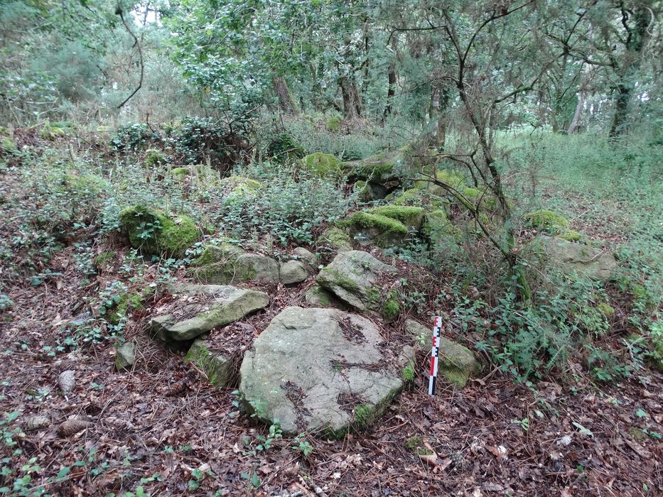 Dolmen : Vue générale