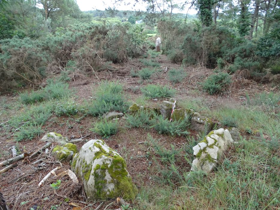 Dolmen : Vue générale