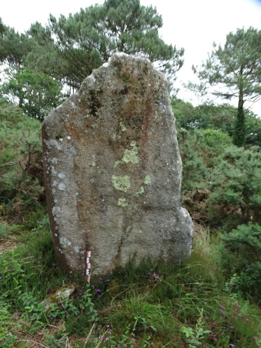 Menhir : Vue générale