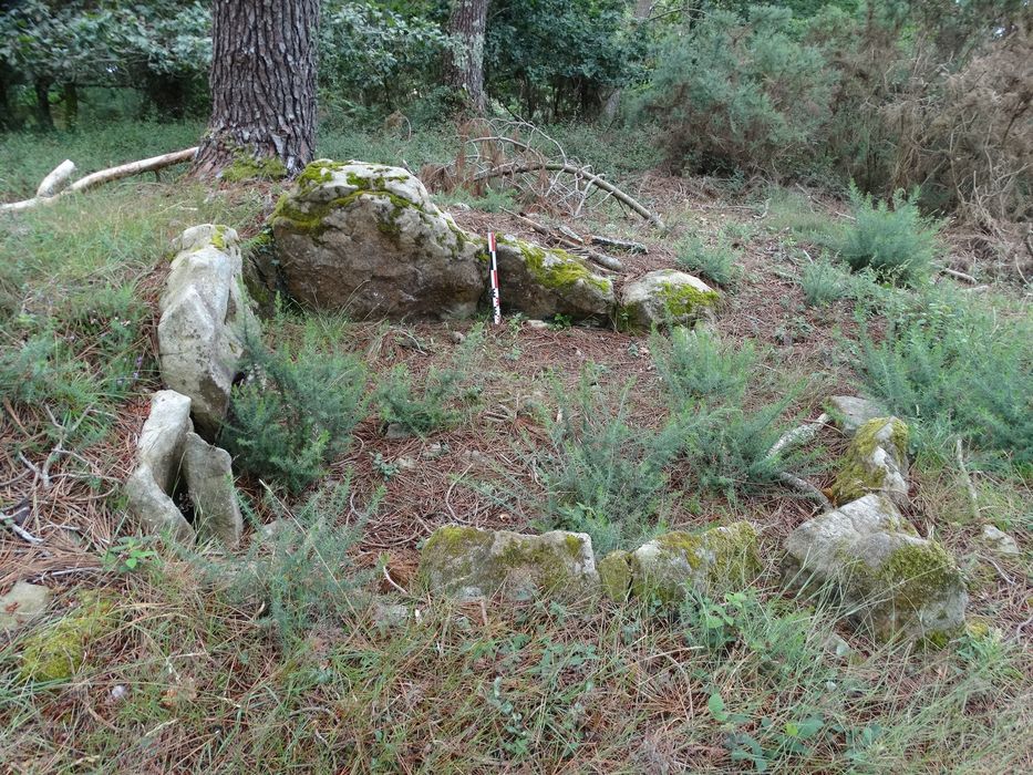 Dolmen : Vue générale