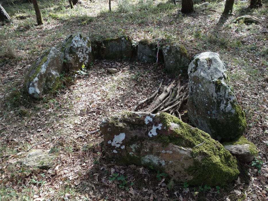 Dolmen dit Er-Roh : Vue partielle du site