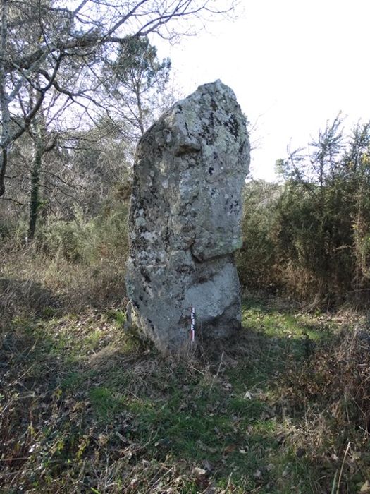 Menhir dit Er-Roh : Vue générale