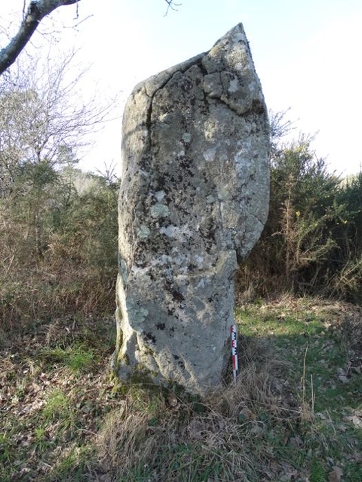 Menhir dit Er-Roh : Vue générale