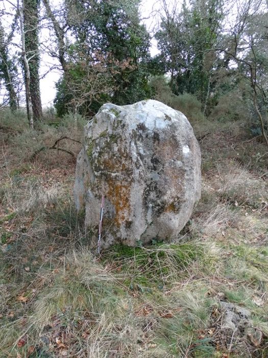 Menhir dit Er-Roh : Vue générale