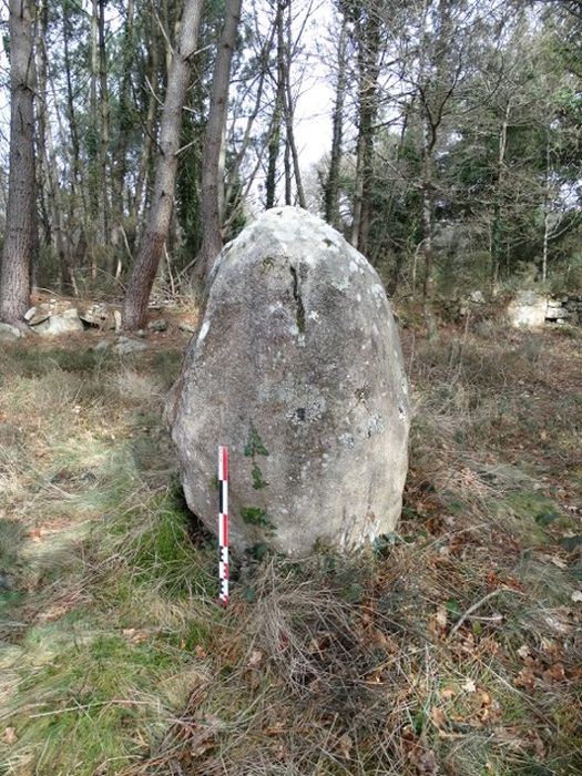 Menhir dit Er-Roh : Vue générale