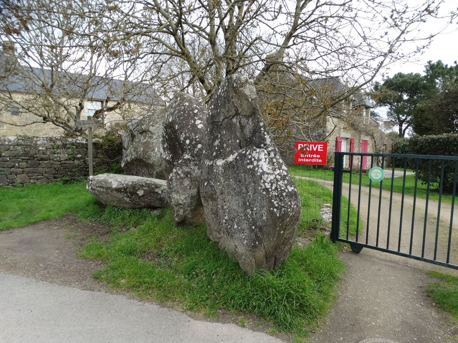 Menhirs de l'enceinte du Ménec : Vue partielle du site 