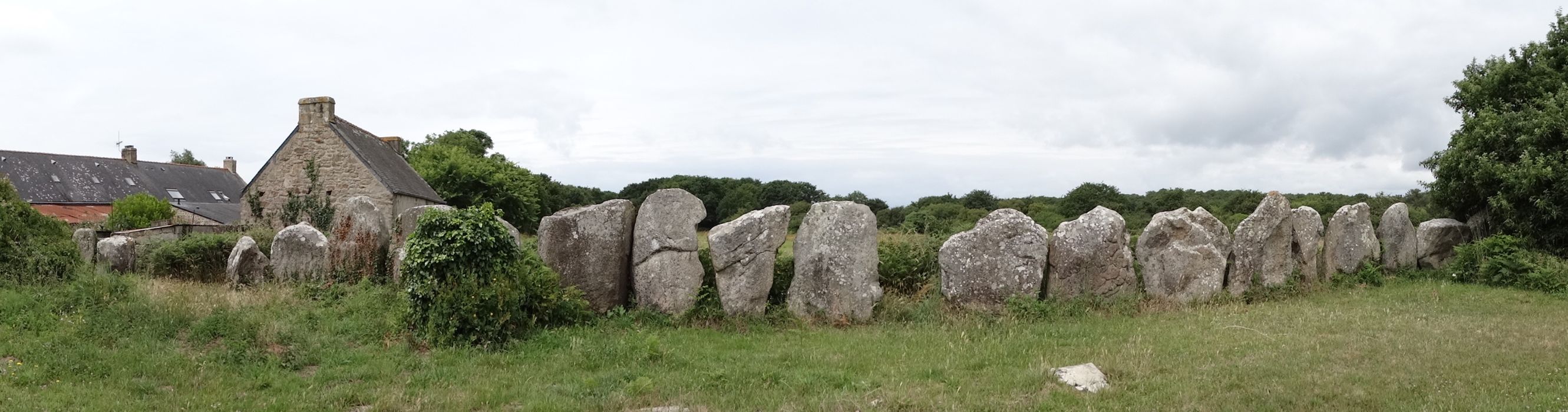 Menhirs de l'enceinte du Ménec : Vue partielle du site 