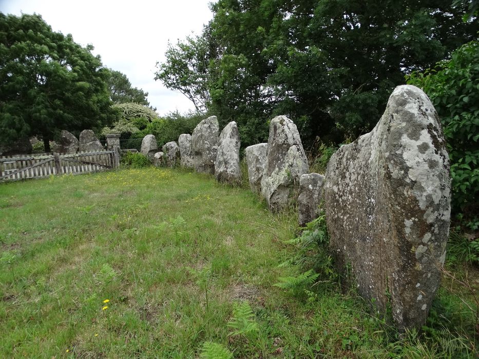 Menhirs de l'enceinte du Ménec : Vue partielle du site 