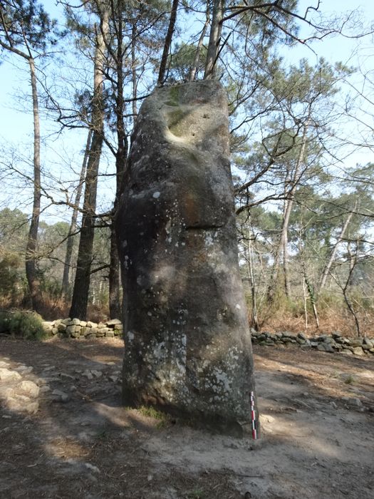 Menhir de Manio : Vue générale