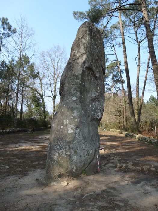 Menhir de Manio : Vue générale