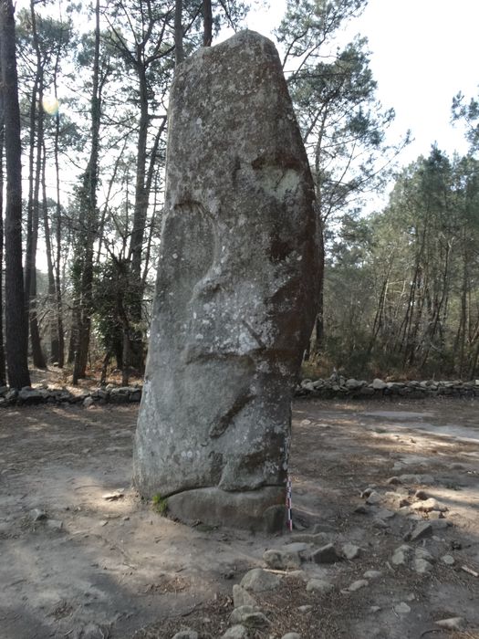 Menhir de Manio : Vue générale