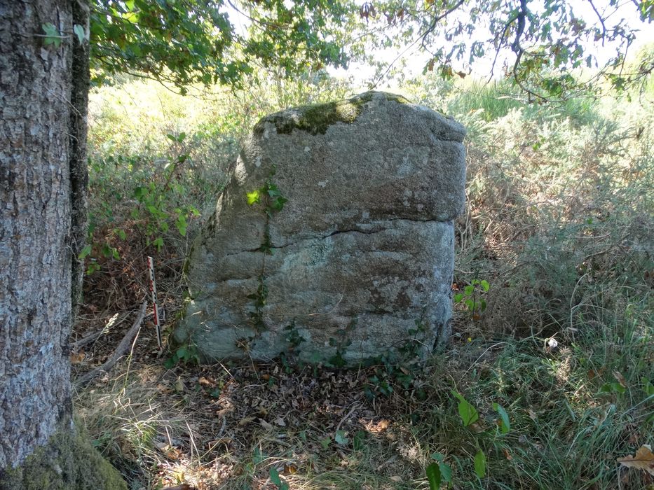 Menhir : Vue générale