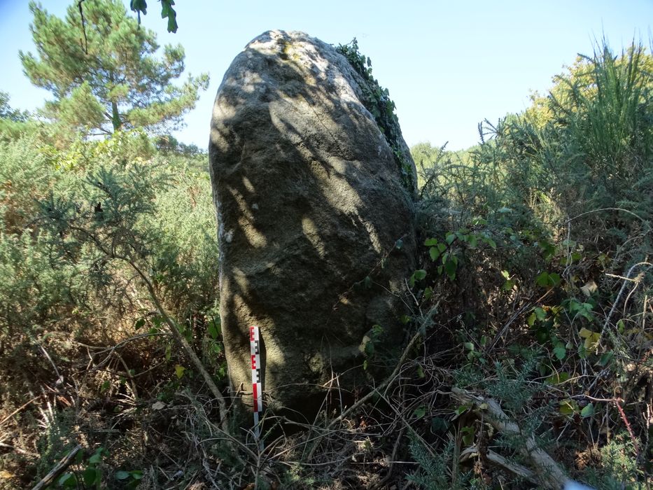 Menhir : Vue générale