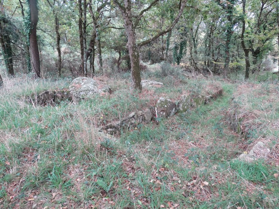 Tumulus à double dolmen d'Er-Rohellec : Vue partielle du site