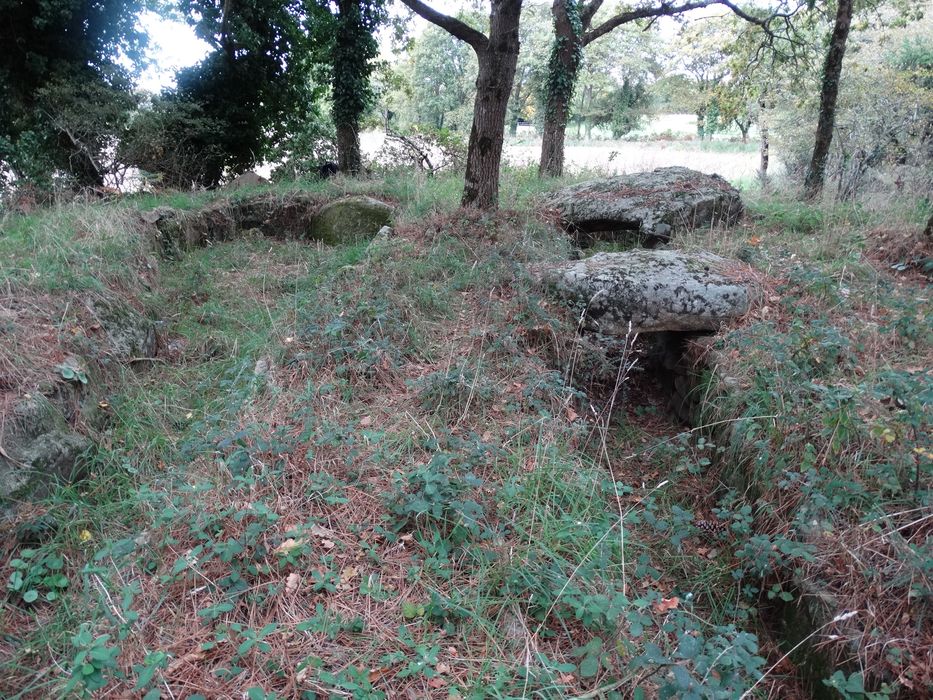 Tumulus à double dolmen d'Er-Rohellec : Vue partielle du site