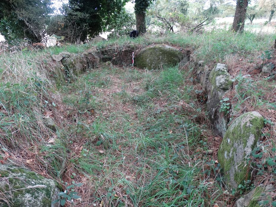 Tumulus à double dolmen d'Er-Rohellec : Vue partielle du site