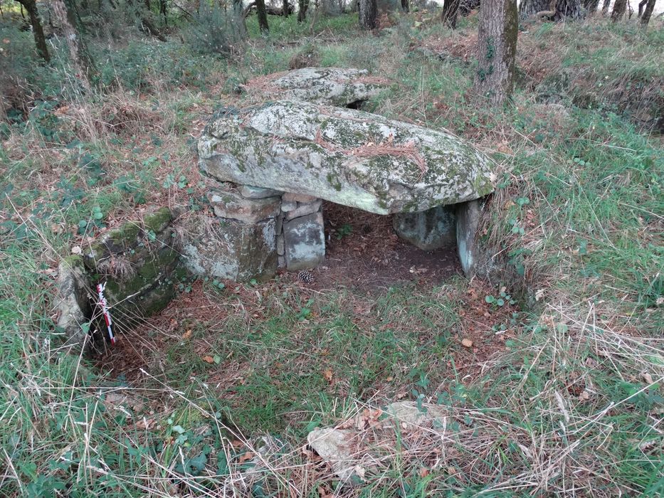 Tumulus à double dolmen d'Er-Rohellec : Vue partielle du site