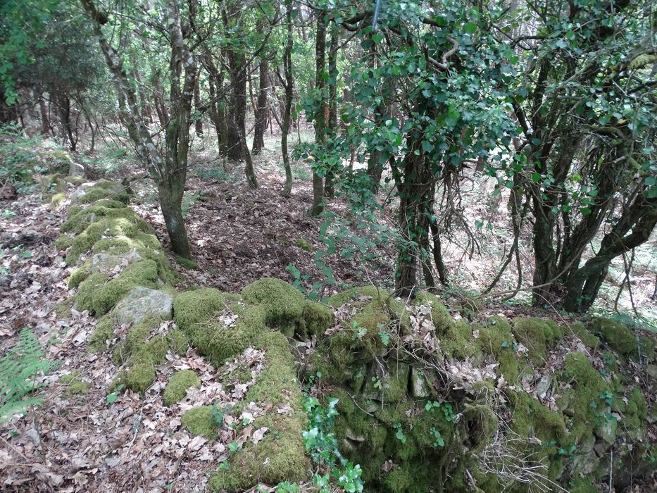 Tumulus : Versant ouest, vue générale