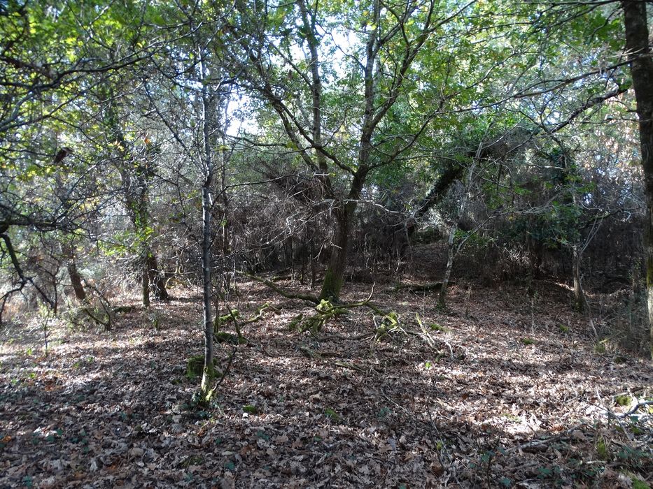 Tumulus : Vue générale du site depuis le Sud