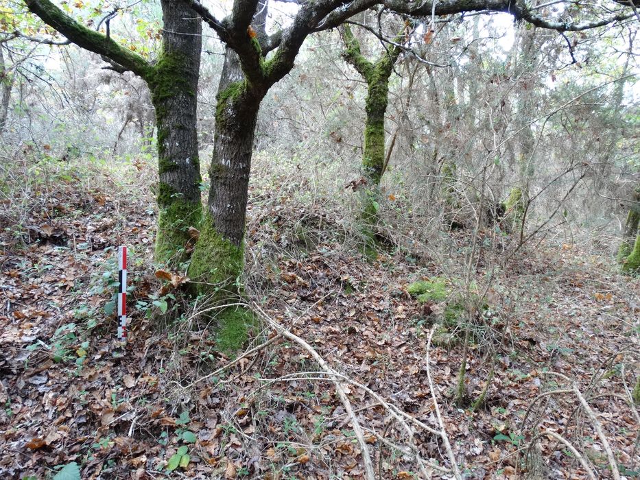 Tumulus circulaires : Vue partielle du site