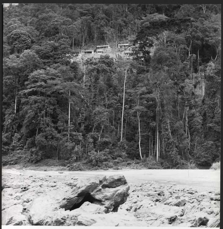 Plage et forêt vierge