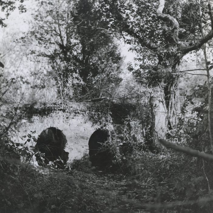 pont enjambant le 1er ruisseau