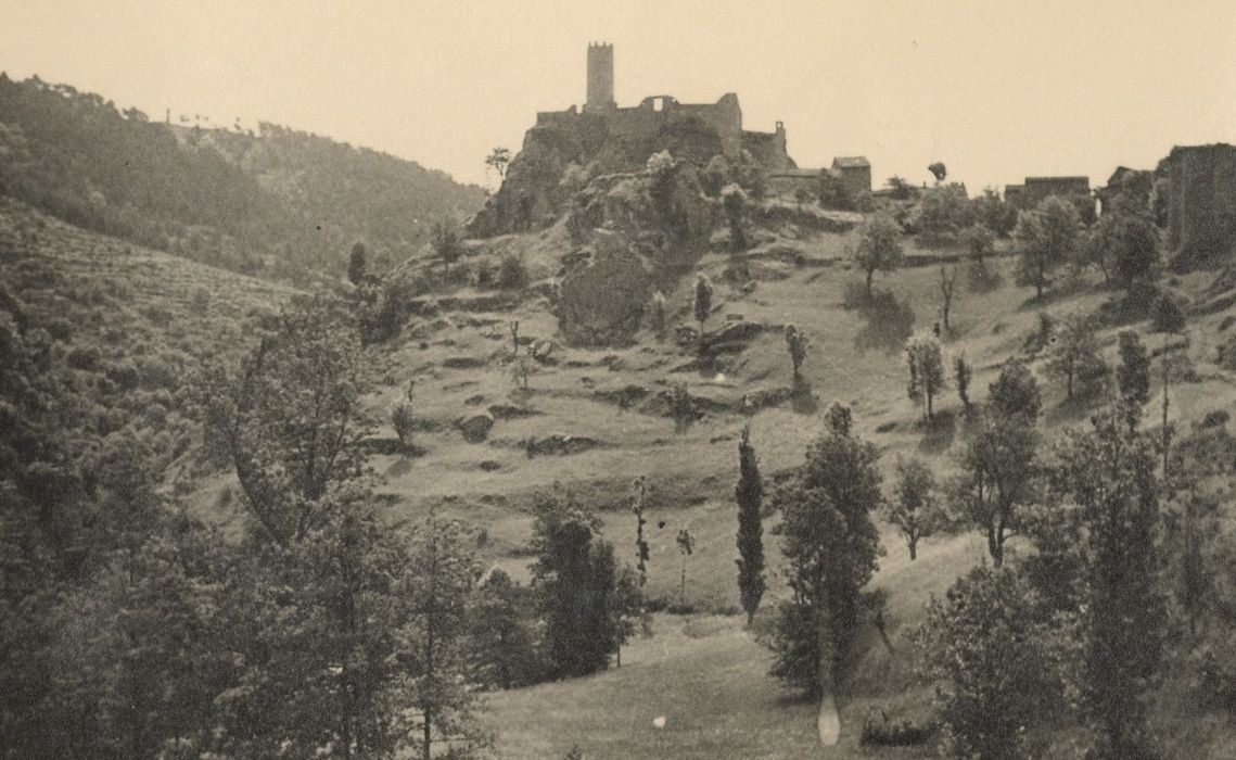 vue générale des ruines du château dans leur environnement