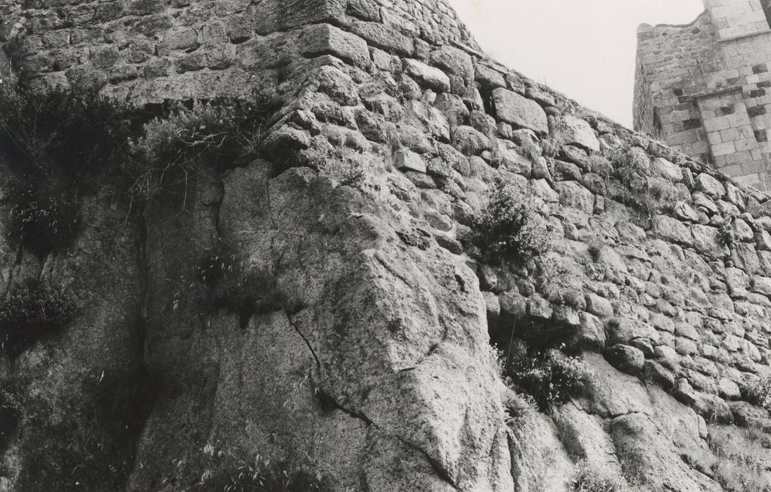 vue partielle des ruines, courtines sud