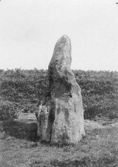 vue générale du menhir