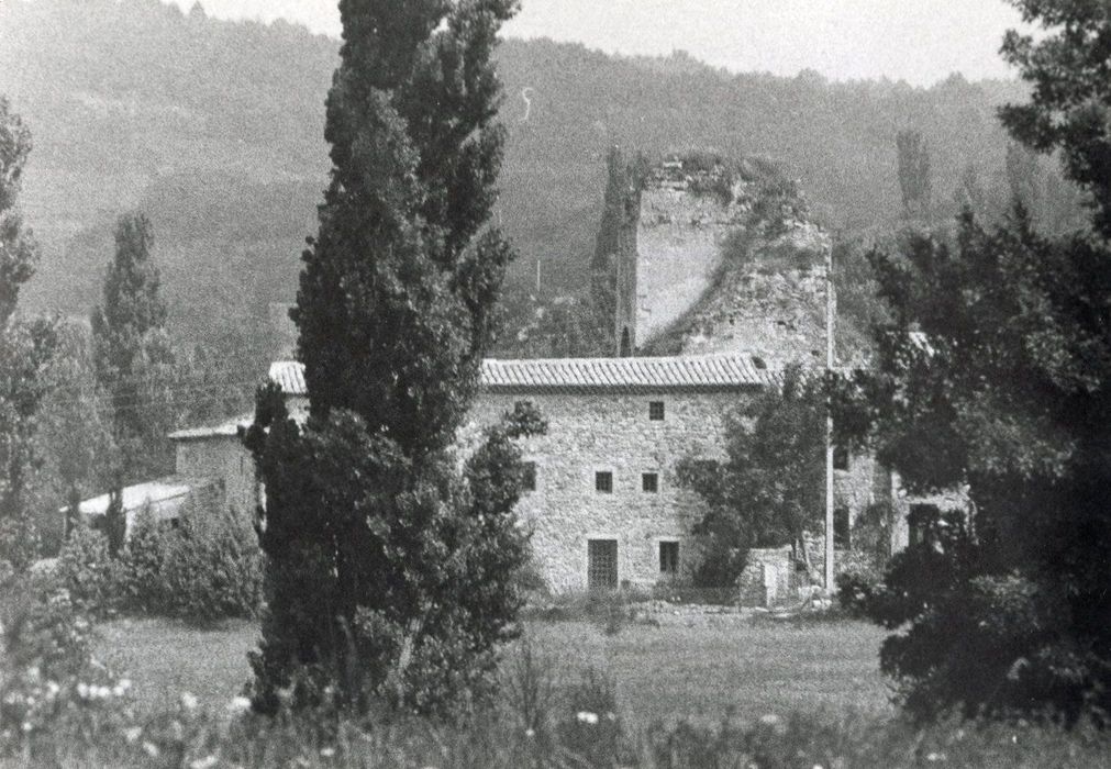 vue partielle des ruines dans leur environnement