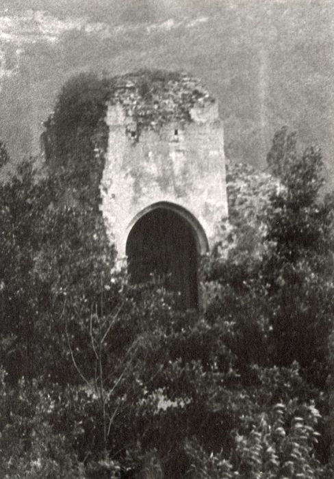 vue partielle des ruines dans leur environnement