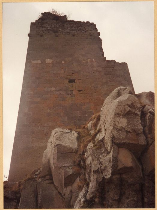 donjon, vue partielle des vestiges