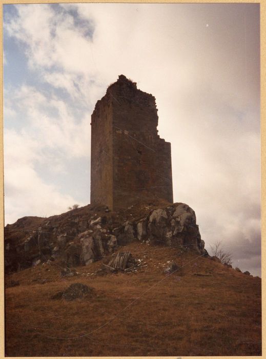 donjon, vue partielle des vestiges