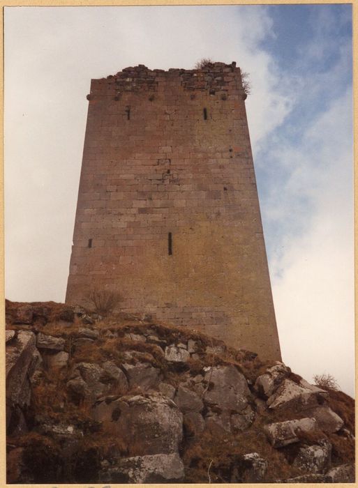 donjon, vue partielle des vestiges