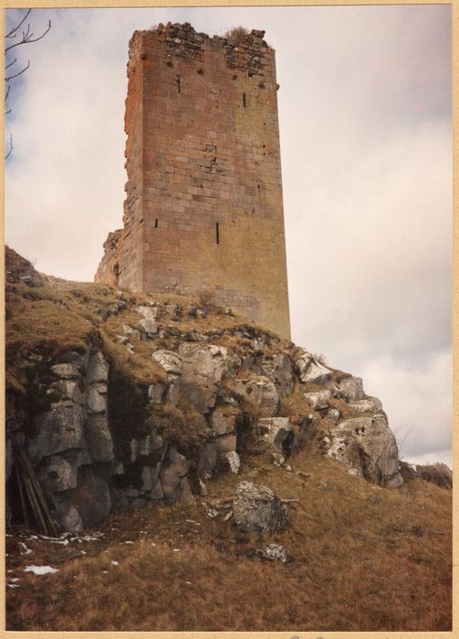 donjon, vue partielle des vestiges