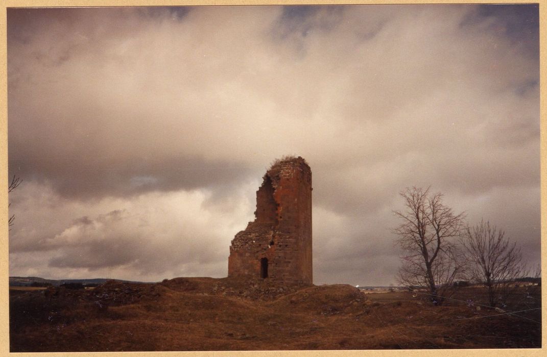 vue générale des vestiges depuis le Sud