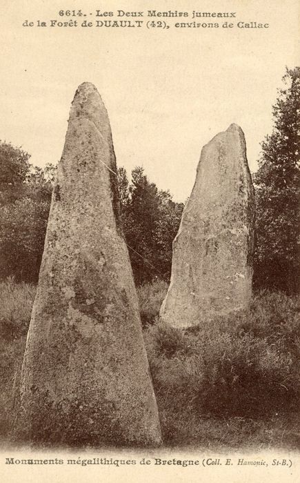 vue générale des menhirs