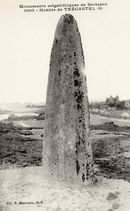 vue générale du menhir