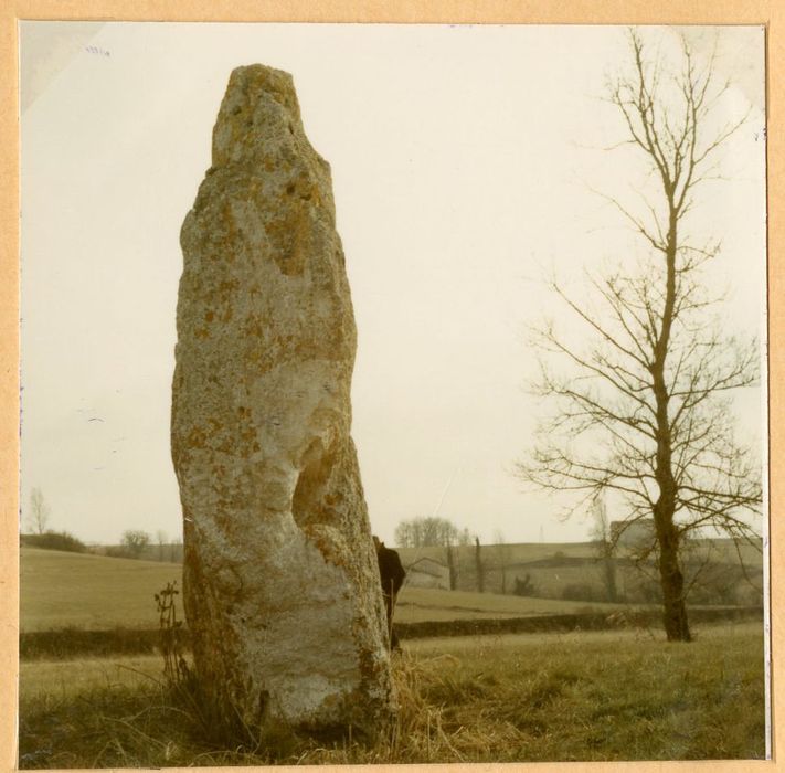 Vue générale du dolmen